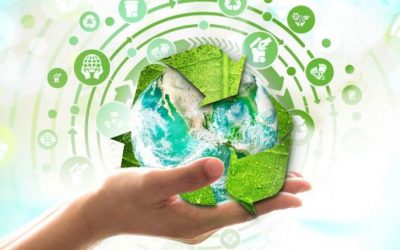 Borsino Rifiuti, La Startup Che Rivoluziona Lo Smaltimento Con L’Economia Circolare